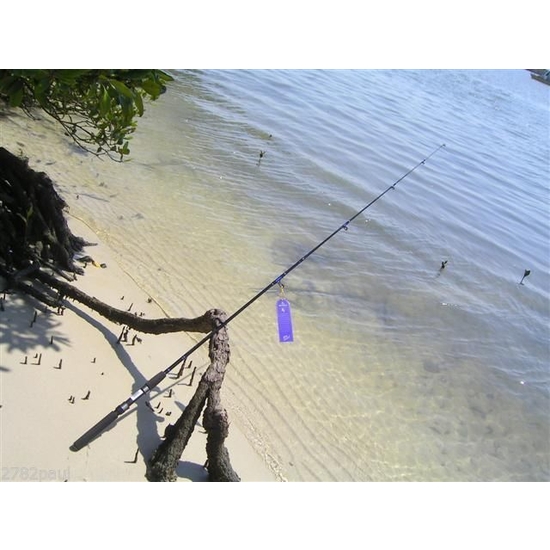 Surecatch Bigfield - 6'6 2 Pc Spin Fishing Rod 3-6kg River - Estuary - Plastics - Image 3
